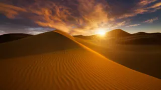 سفاري الصحراء مع مخيم الفقع