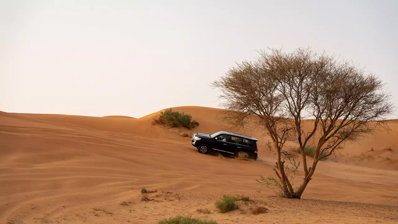 Best Things to Do in Fujairah, UAE (2026 Guide)