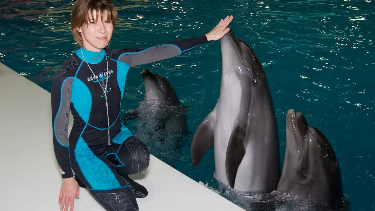 Dubai Dolphinarium Tickets