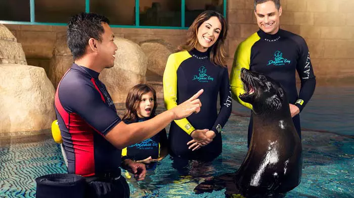 Dolphin Bay Tickets -- Atlantis The Palm, Dubai