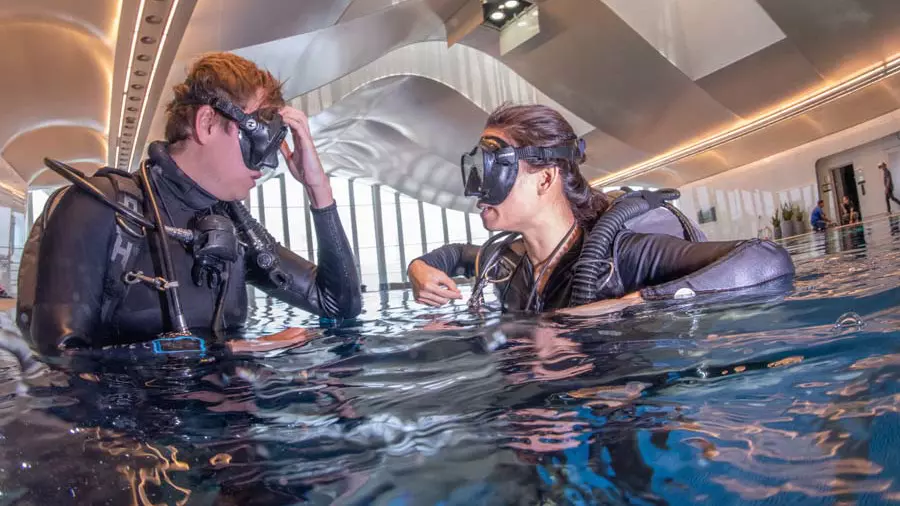Deep Dive Dubai -- photo 1