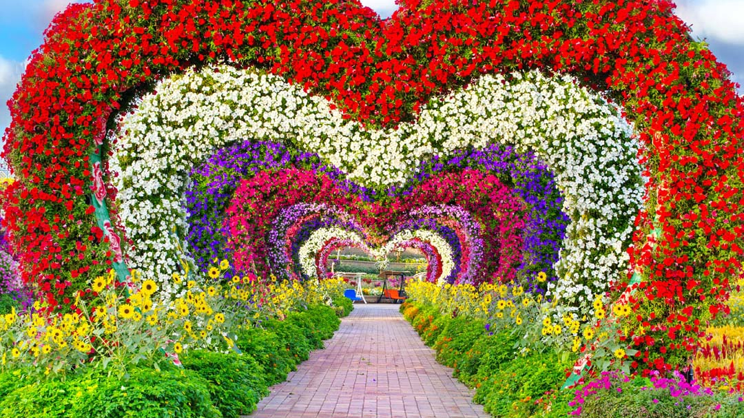 Dubai Miracle Garden Tickets -- The World's Largest Flower Garden