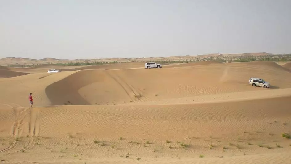 سفاري الصحراء الصباحي في دبي — صورة ٢